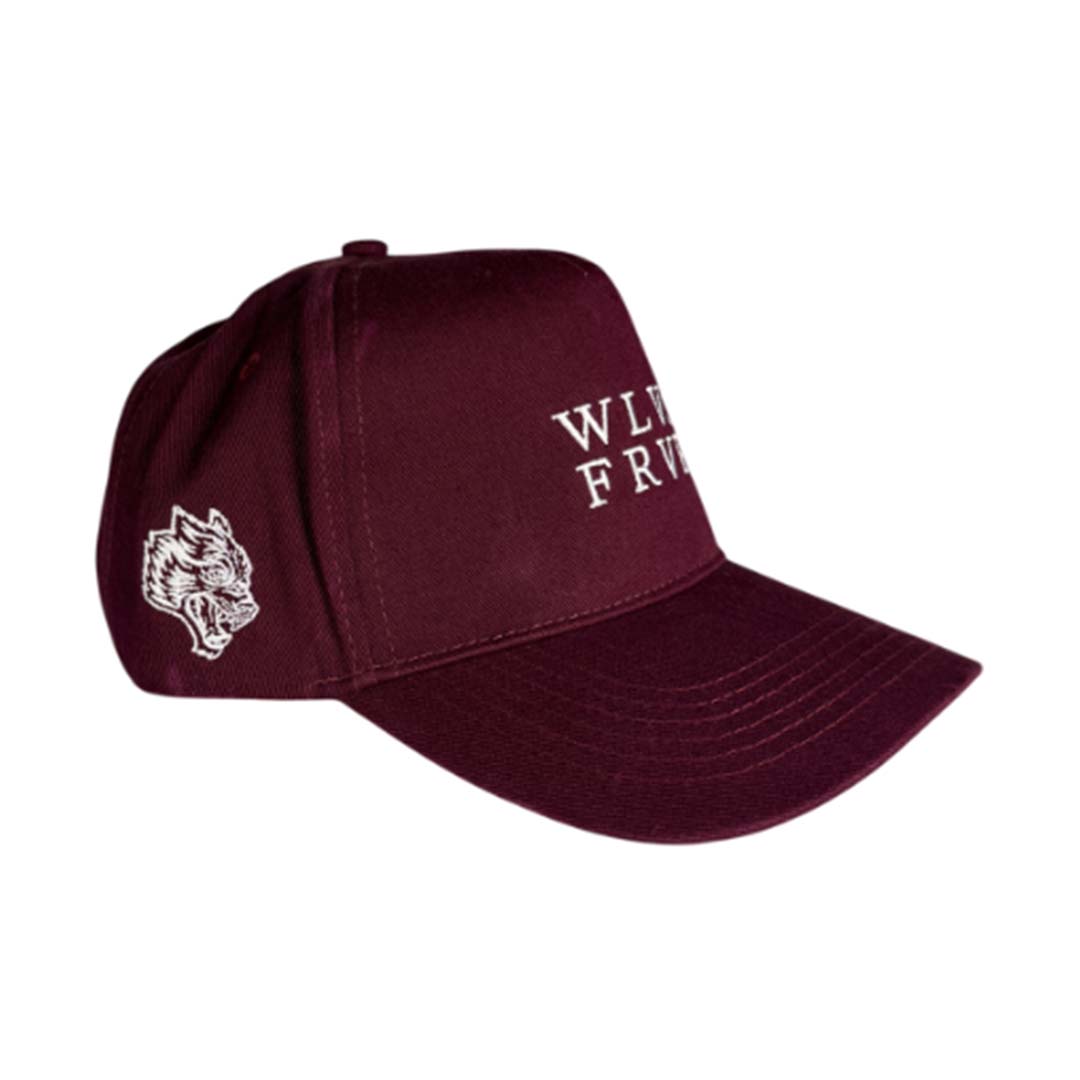 Darcsport FRVR 5 Panel Hat Gemstone