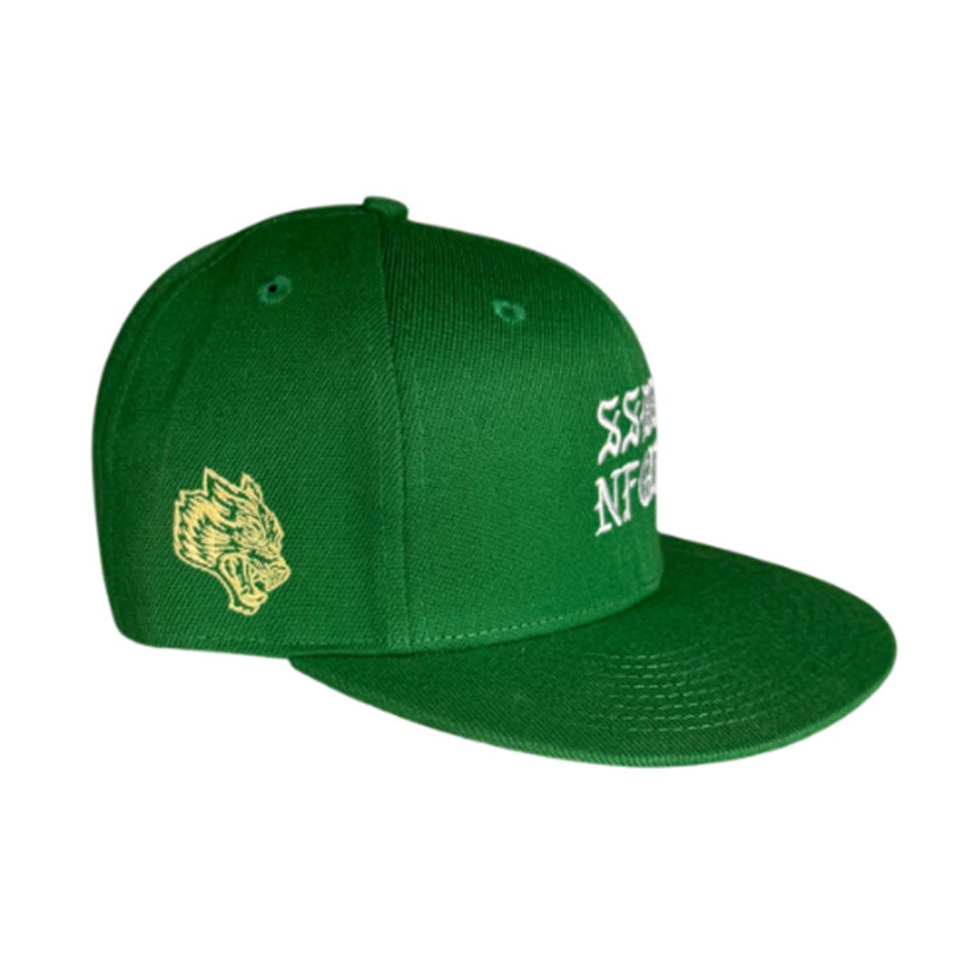 Darcsport SSDD Fitted Hat Celtic Green