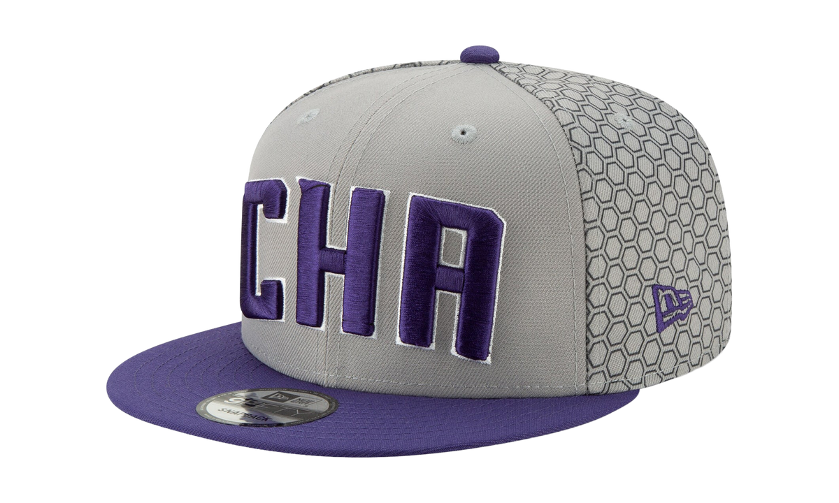 9FIFTY Charlotte Hornets City Series Snapback Hat "Grey / Purple - Brim" NE566