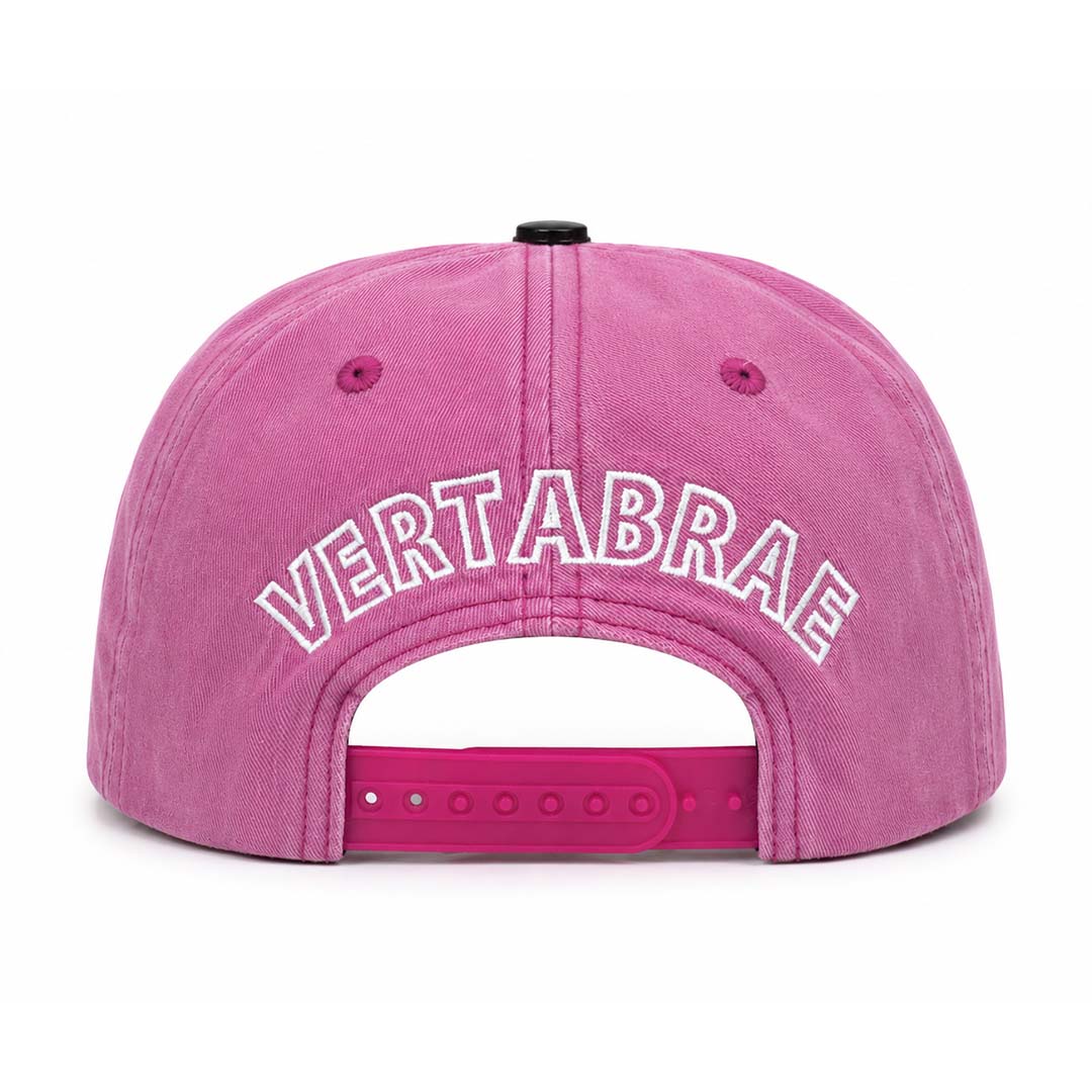 Vertabrae Faded Pink White Snapback Hat